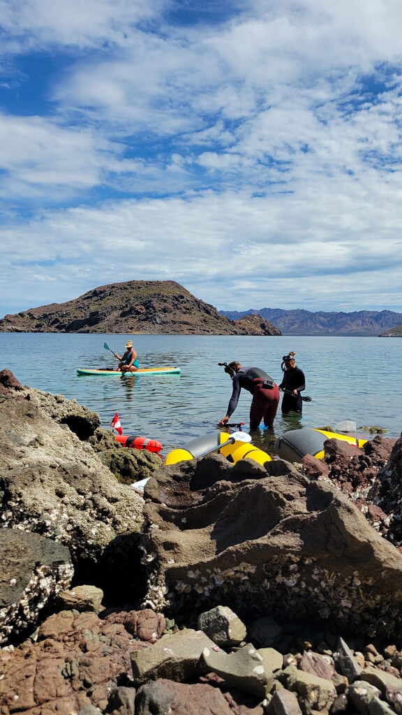 Spear fishing Bahia
