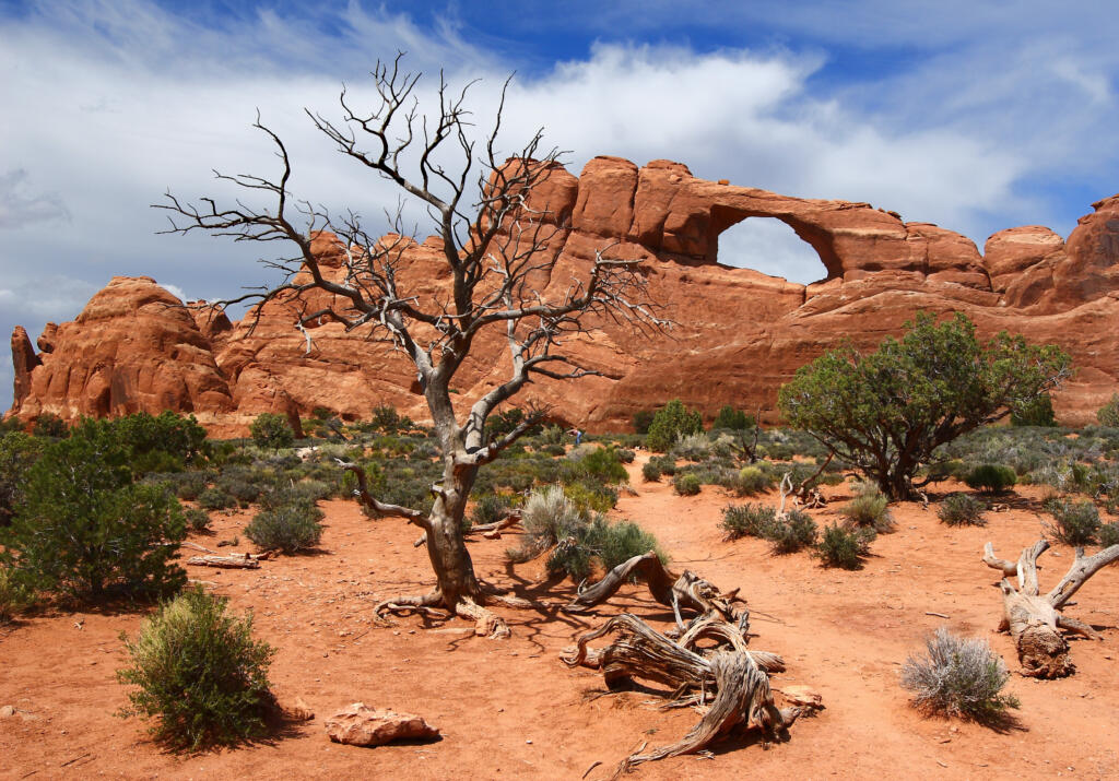 Skyline Arch at Arches National Park Unburnsky