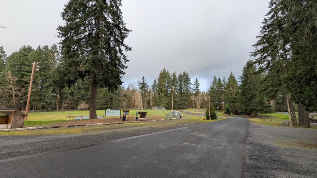 PXL 20260309 184019019