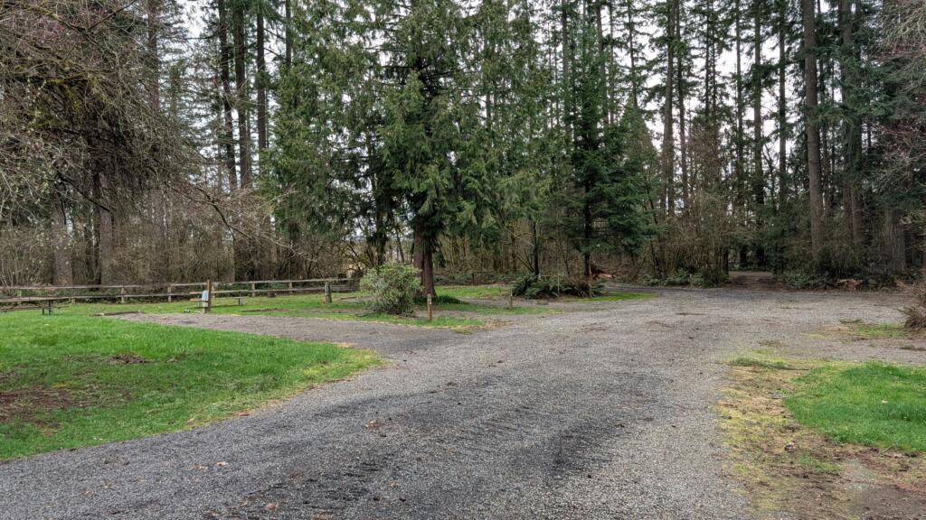 PXL 20260309 185531733